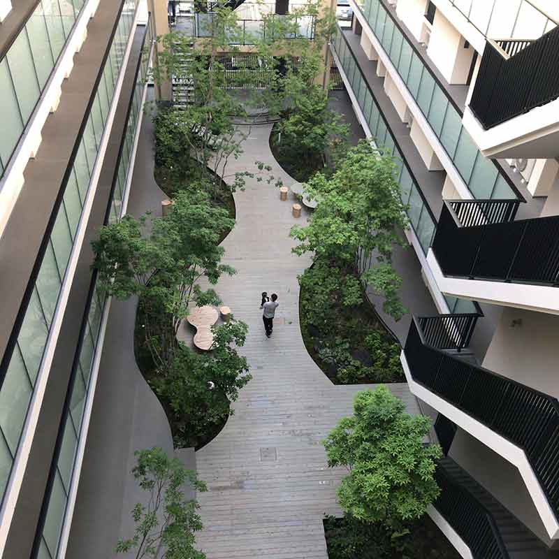 吹抜空間に四季折々の様々な植栽と木製デッキを配した中庭を創出した。